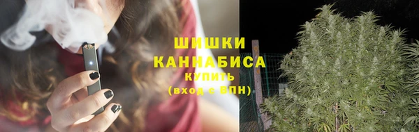 гидра Арсеньев